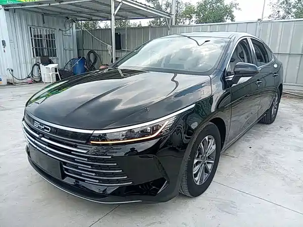 BYD Destroyer 05 2024