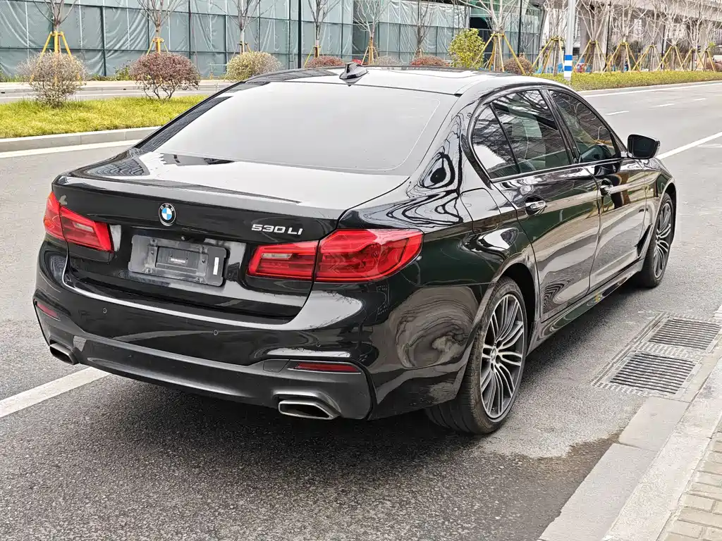 BMW 5 Series 2018 — фото 9
