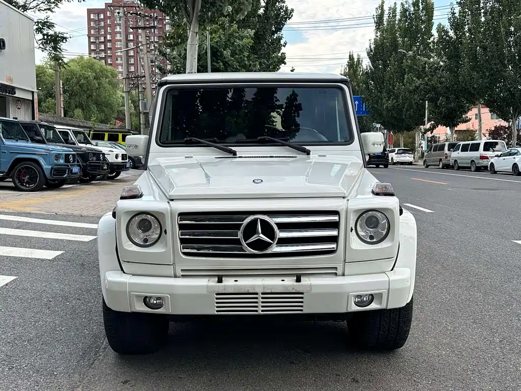 Mercedes-Benz G-Class AMG 2012 — фото 11