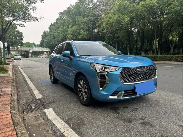 Haval First Love 2021