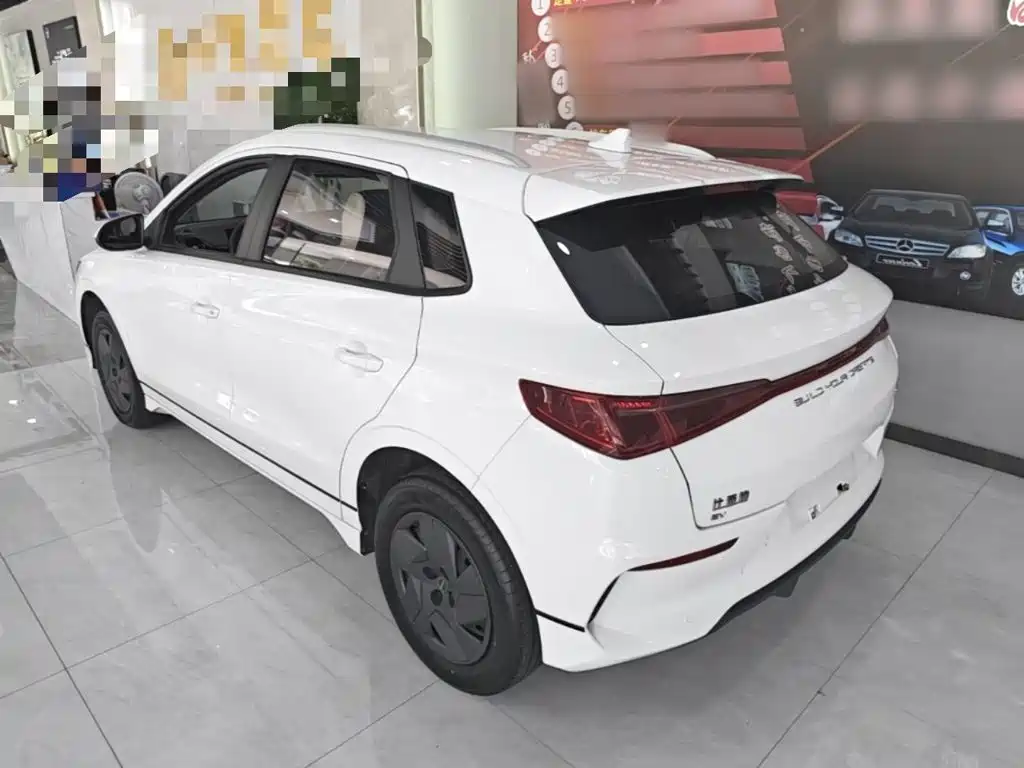 BYD e2 2024