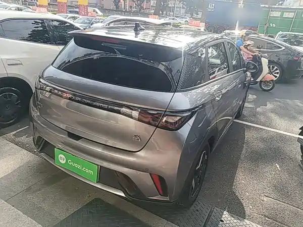 BYD Dolphin 2021