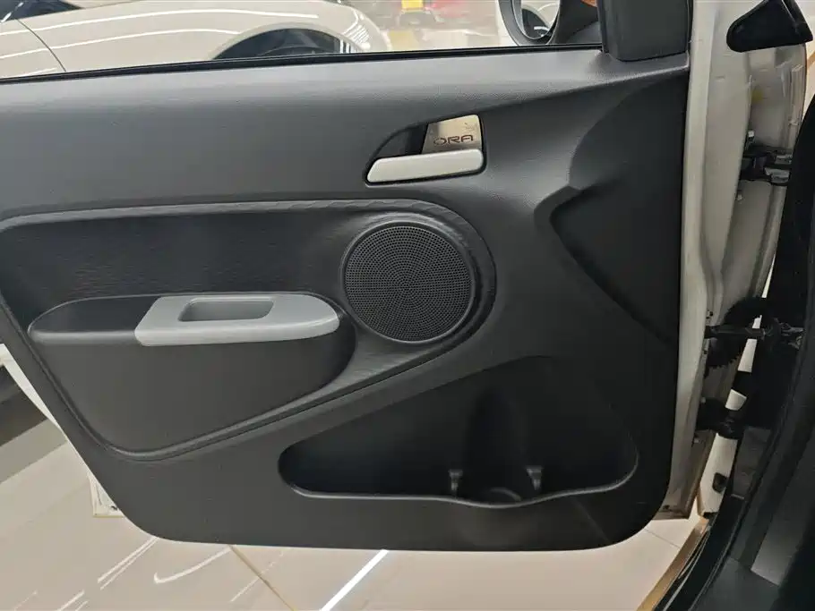 Ora Black Cat 2022 — фото 7