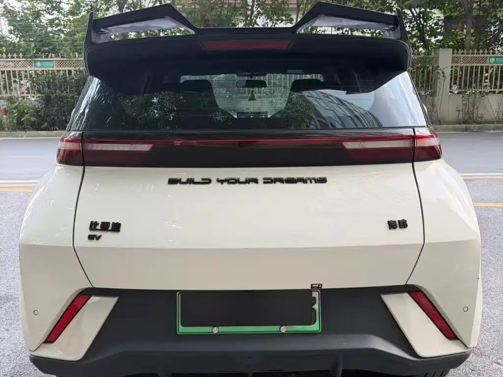 BYD Seagull 2024