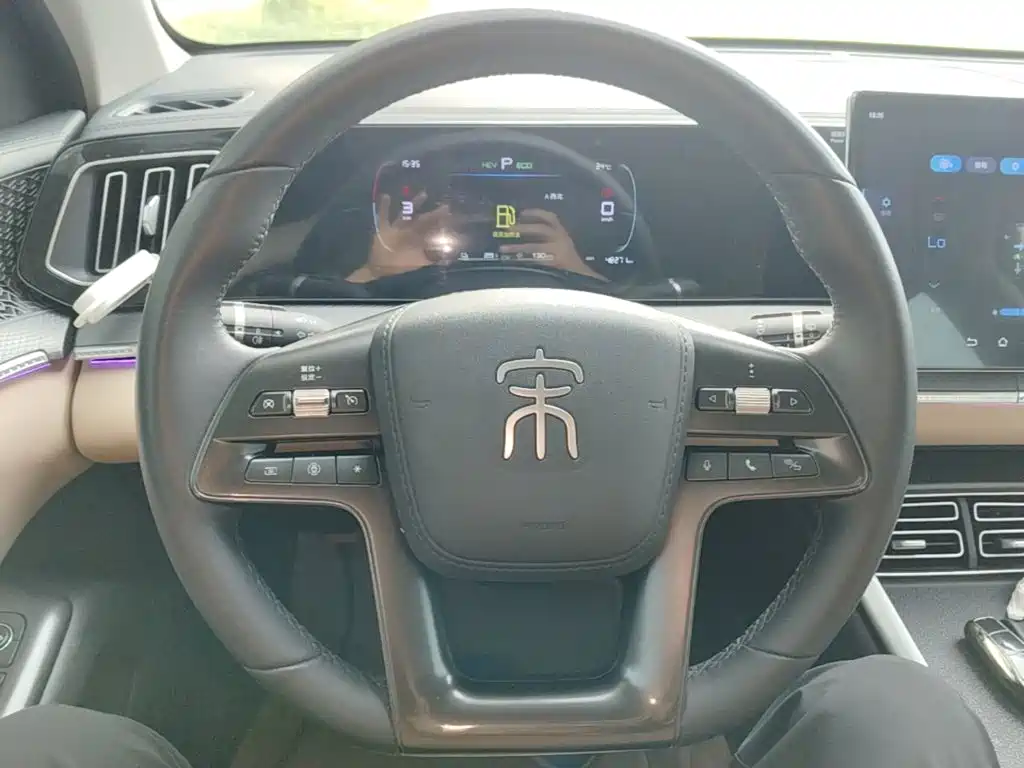 BYD Song Pro New Energy 2025 — фото 11