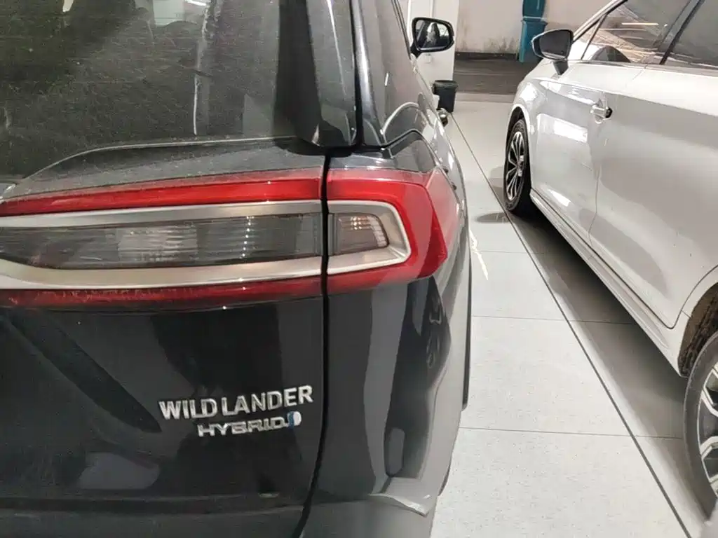 Toyota Wildlander 2024 — фото 8