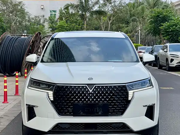 Venucia Star 2021