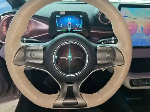 BYD Dolphin 2022