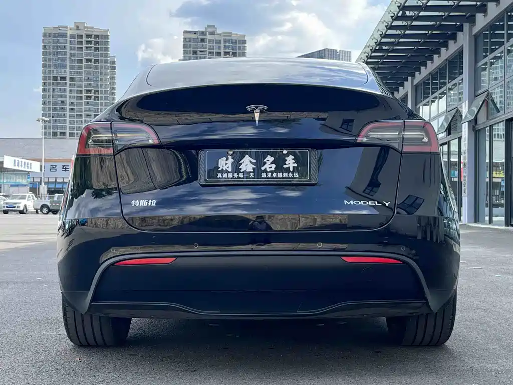 Tesla Model Y 2024 — фото 10