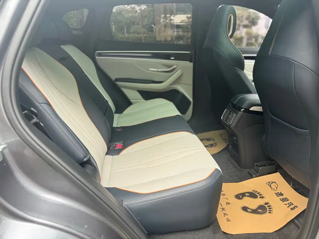 BYD PLUS New Energy 2022 — фото 16