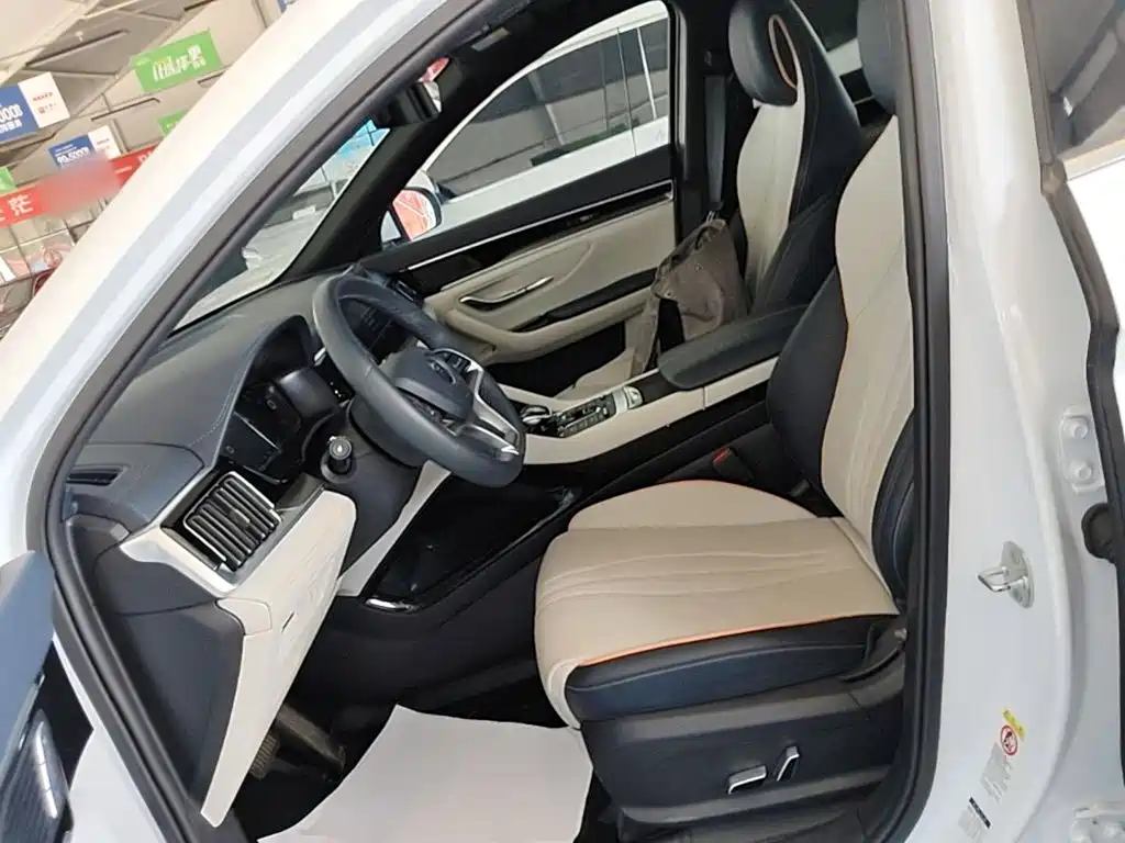 BYD PLUS New Energy 2023 — фото 15
