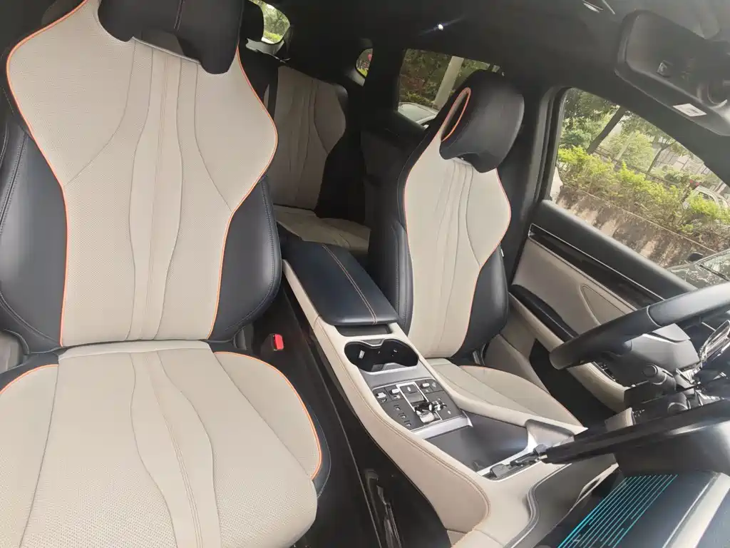 BYD PLUS New Energy 2023 — фото 13