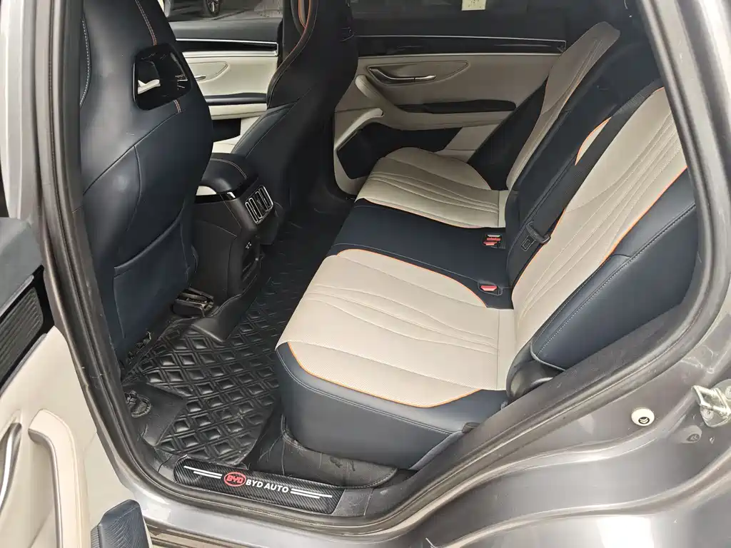 BYD PLUS New Energy 2023 — фото 10