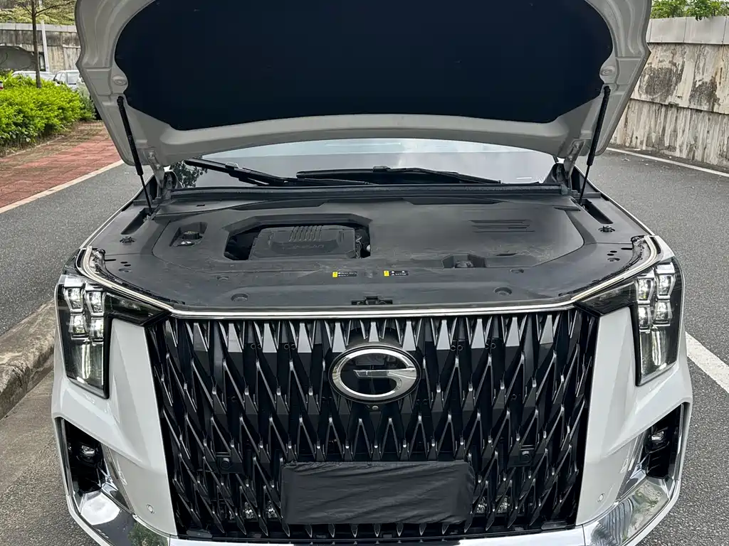 GAC Motor Trumpchi GS8 2022 — фото 6