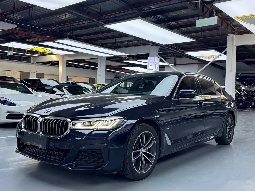 BMW 5 Series 2020