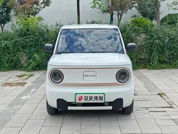 Geely Galaxy Panda 2023
