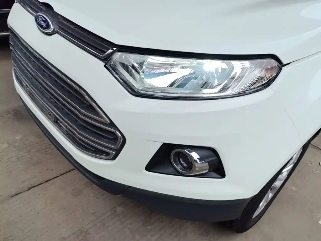 Ford Ecosport 2016 — фото 24