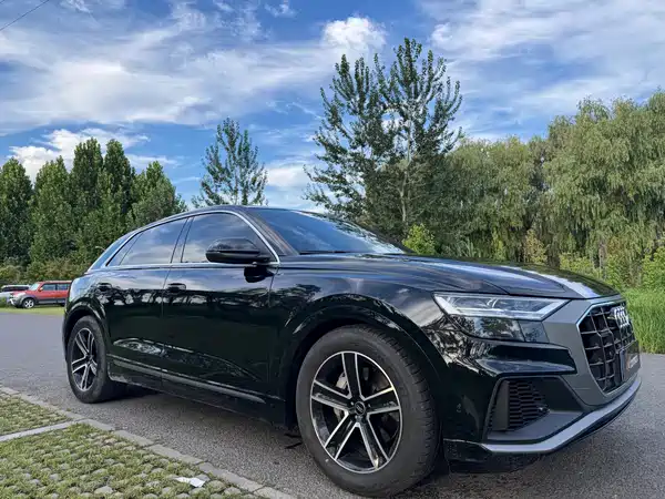 Audi Q8 2022