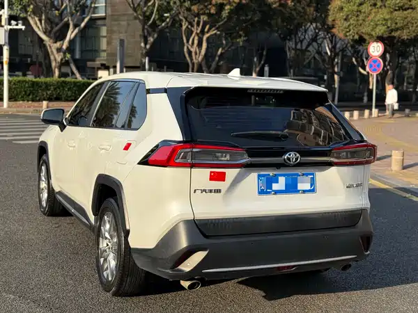 Toyota Wildlander 2021