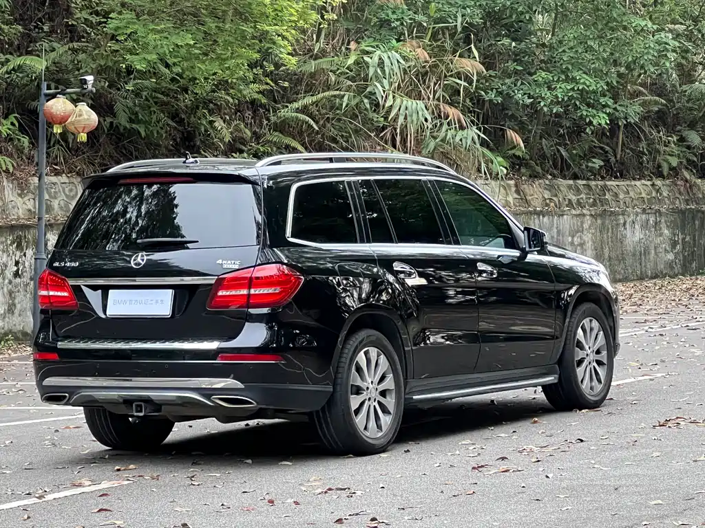 Mercedes-Benz GLS 2017 — фото 6