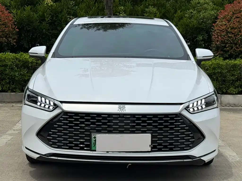 BYD Qin PLUS 2023 — фото 2