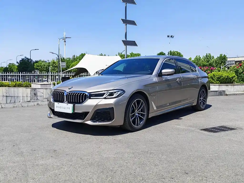 BMW 5 Series New Energy 2021 — фото 1