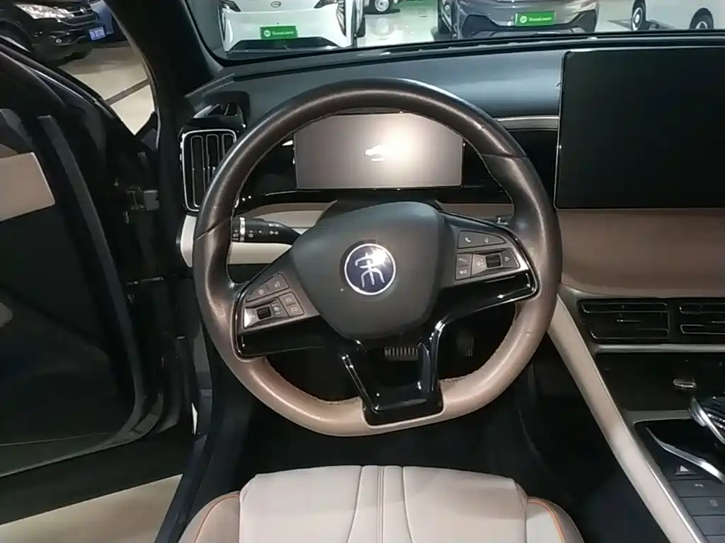 BYD Pro New Energy 2024 — фото 11