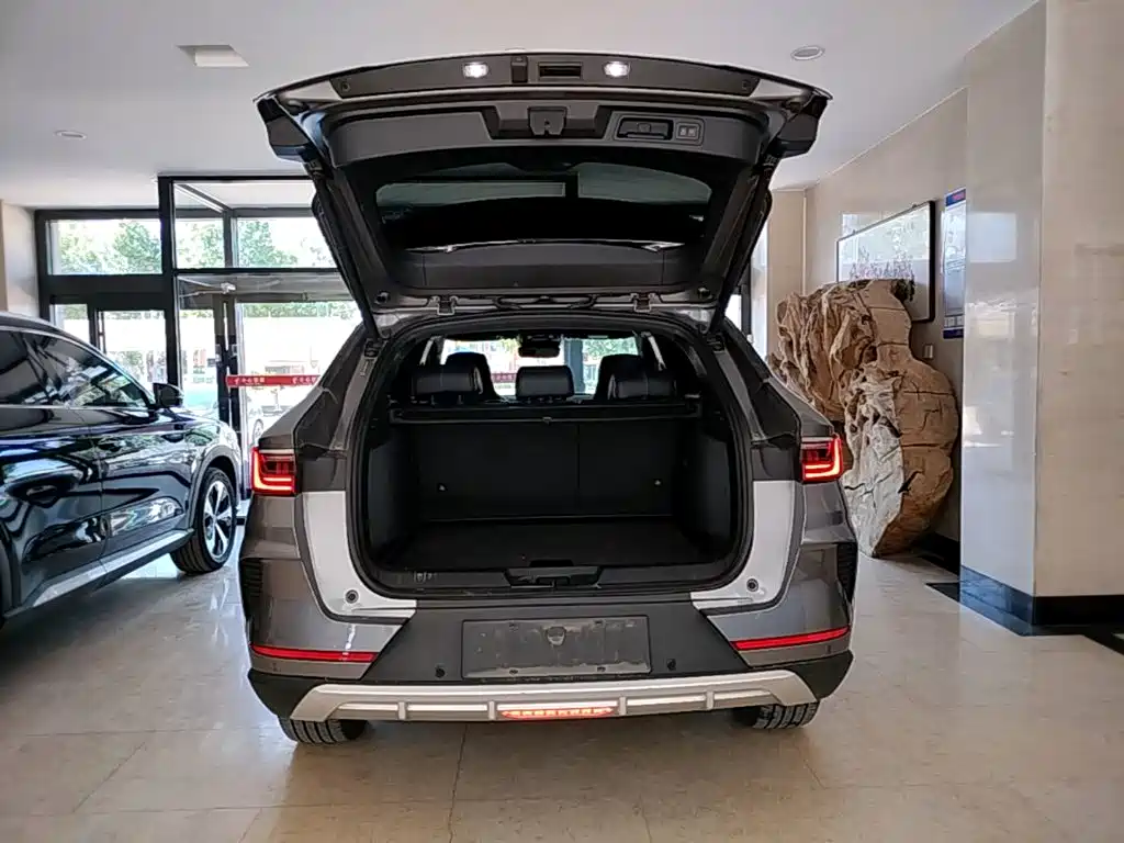 BYD PLUS New Energy 2023 — фото 19