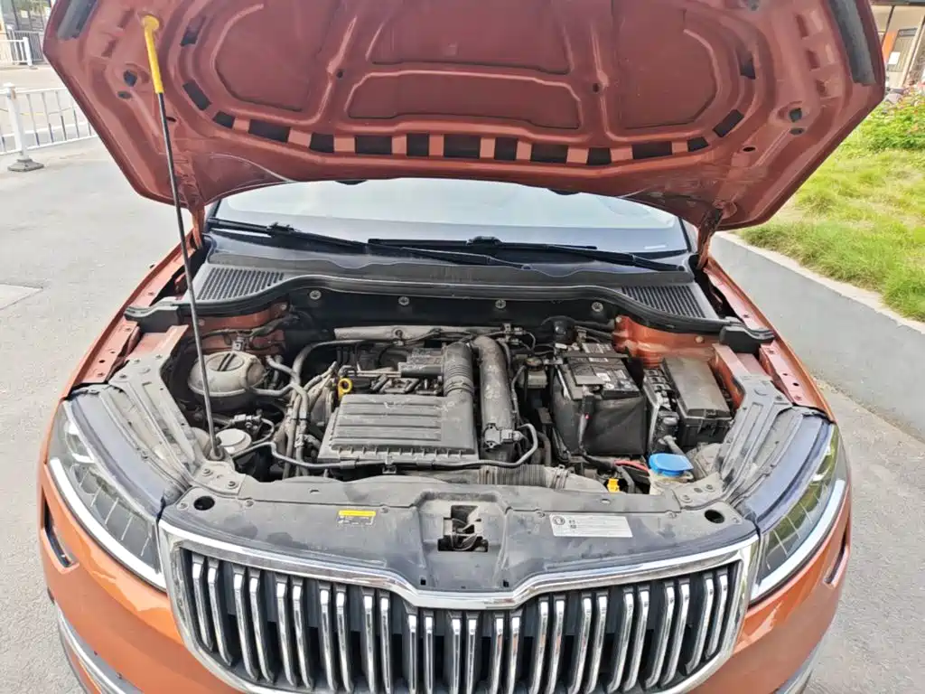 Skoda Karoq 2019 — фото 20