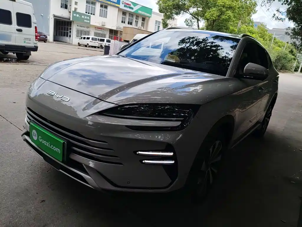 BYD Song PLUS New Energy 2024 — фото 1