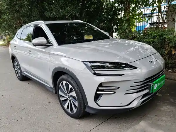 BYD Song PLUS New Energy 2024