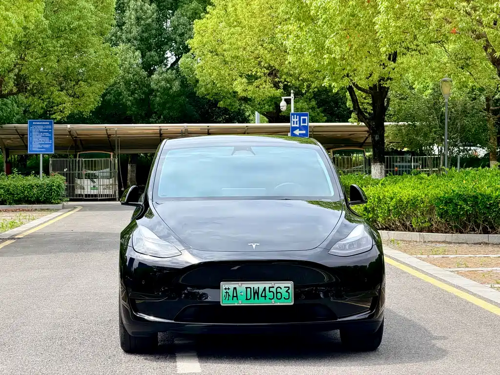 Tesla Model Y 2024 — фото 2
