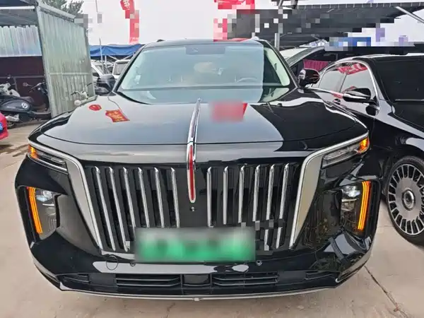 Hongqi E-HS9 2023