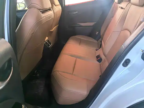 Lexus UX 2021