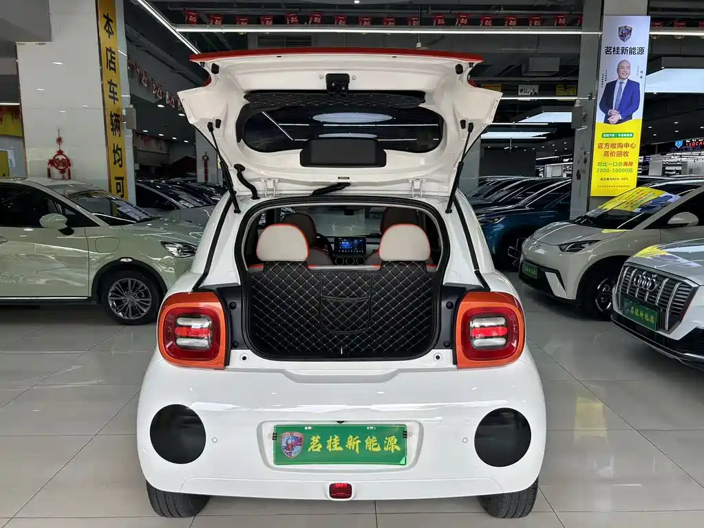 Ora Black Cat 2020
