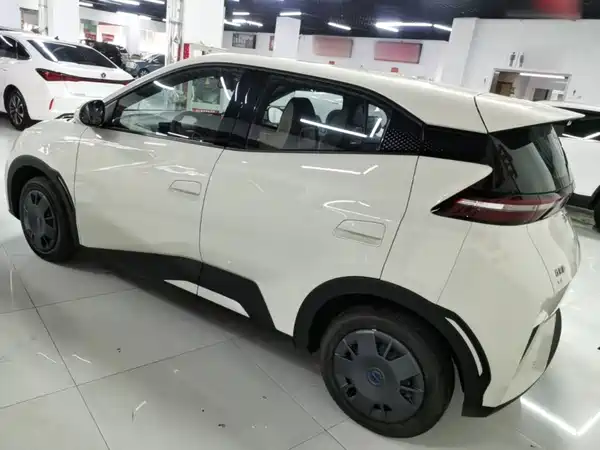 BYD Seagull 2026
