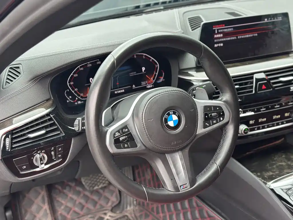 BMW 5 Series 2019 — фото 6
