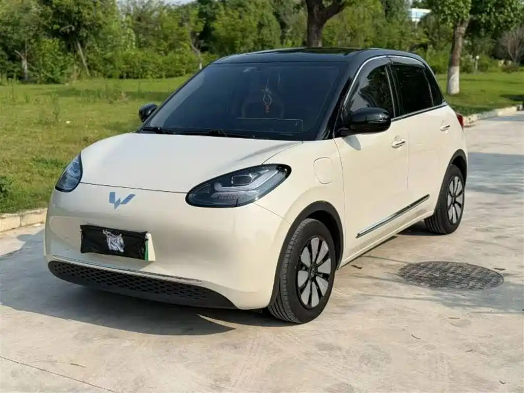 Wuling Bingo 2024