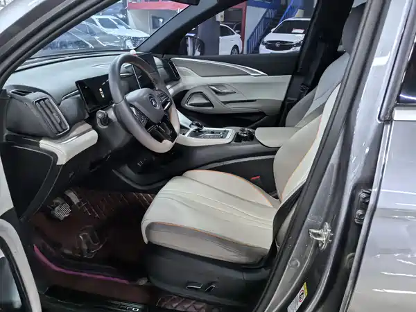 BYD Song Pro New Energy 2024