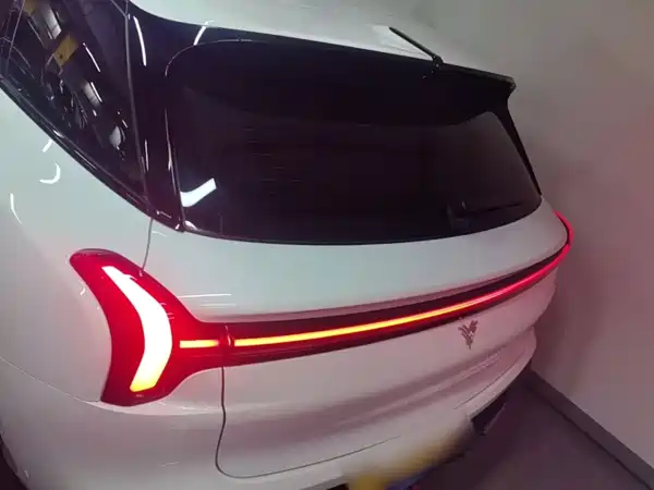 Neta L 2024