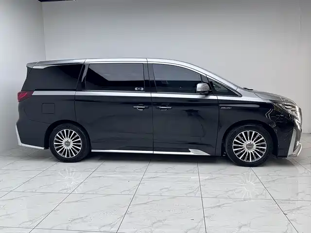 GAC Trumpchi M8 2021 — фото 8