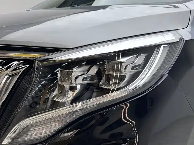 GAC Trumpchi M8 2021 — фото 18