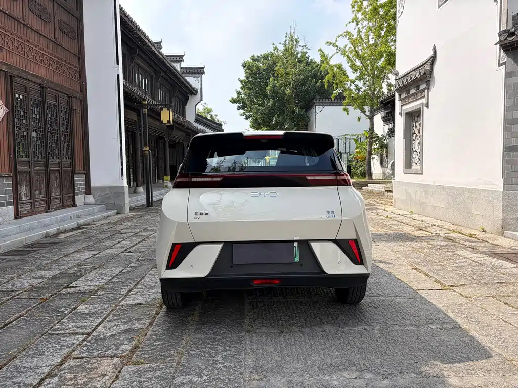 BYD Seagull 2025