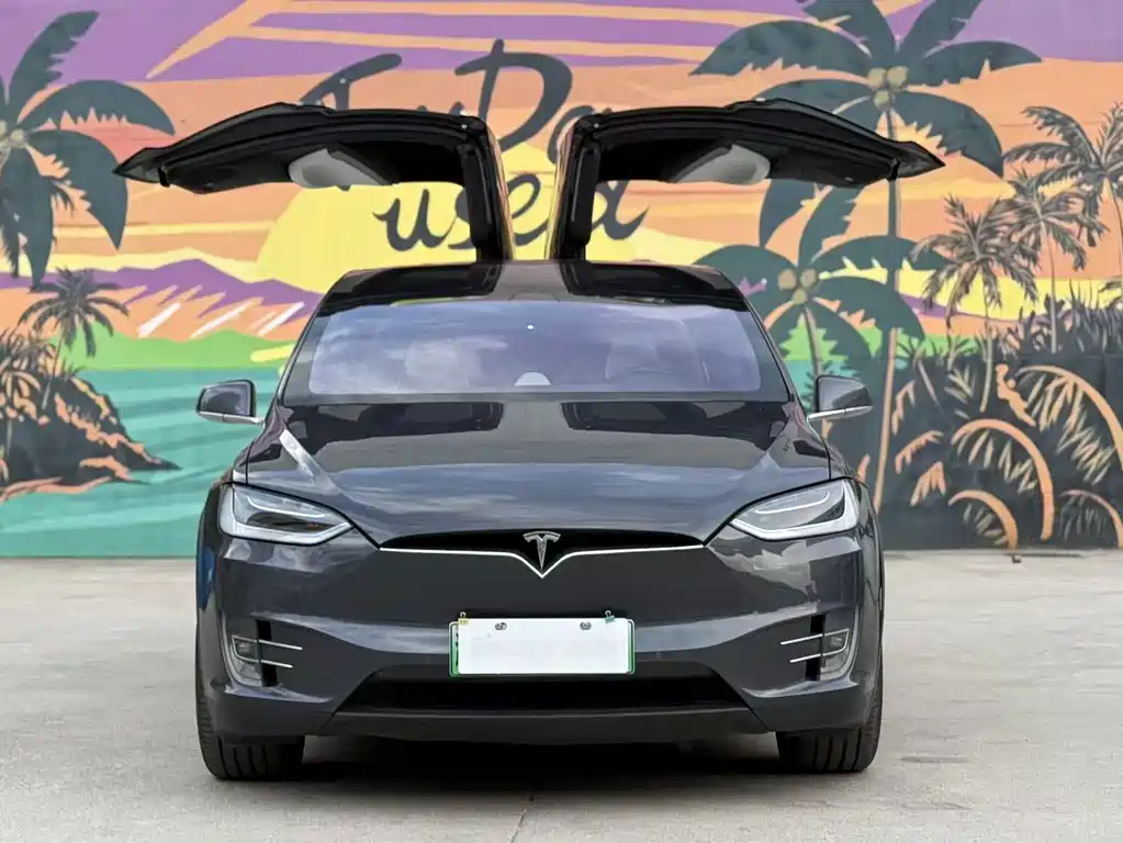 Tesla Model X 2018 — фото 2