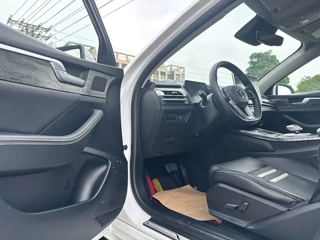 BYD Qin Pro New Energy 2019 — фото 8