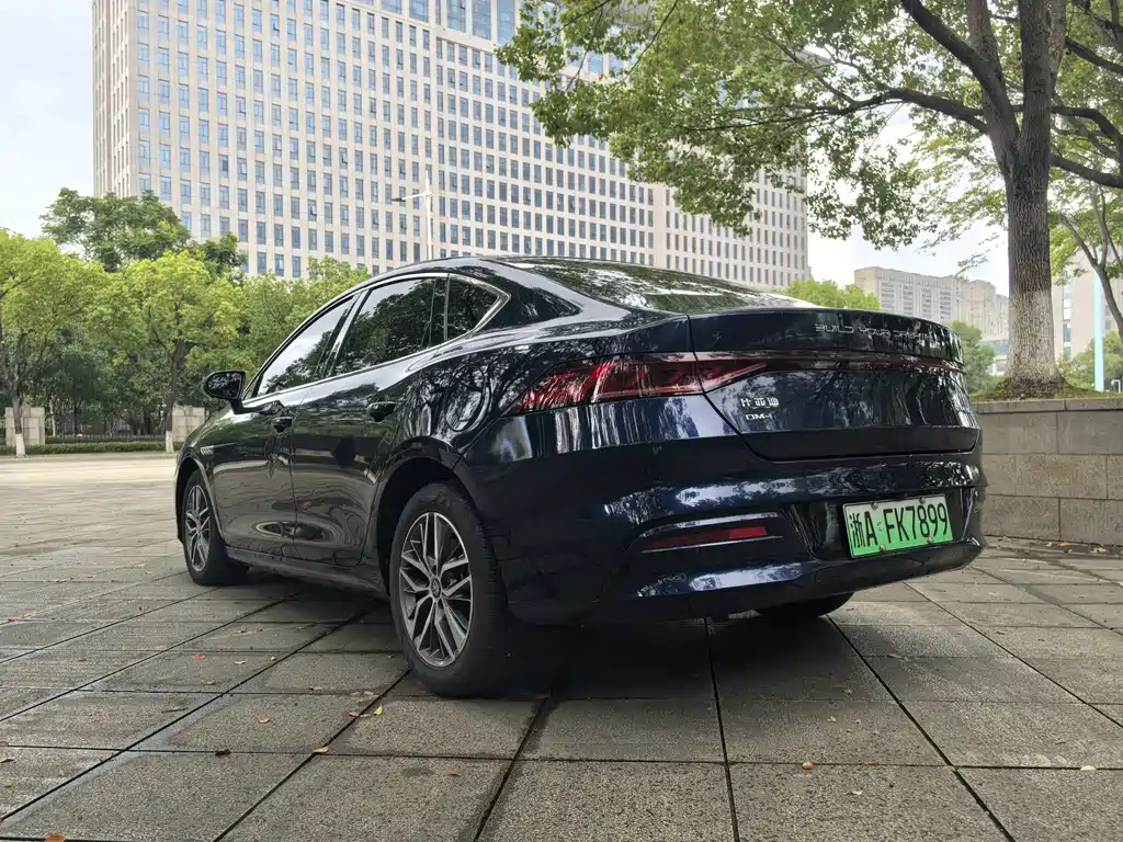BYD Qin PLUS 2024 — фото 17