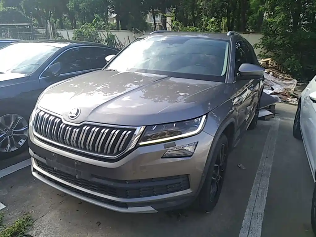 Skoda Kodiaq 2019 — фото 2