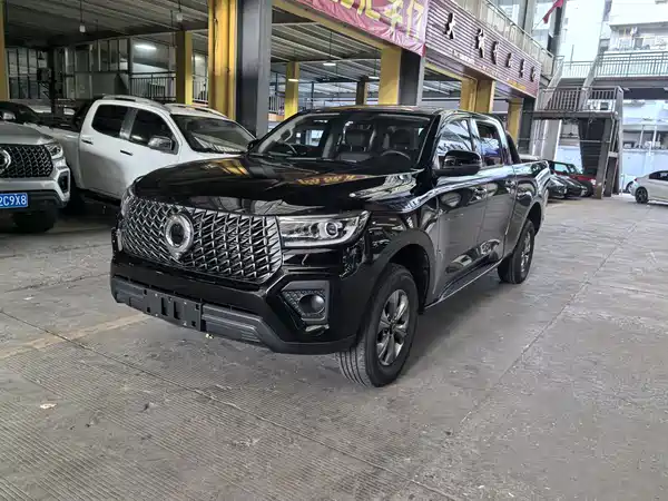 Great Wall Poer 2024