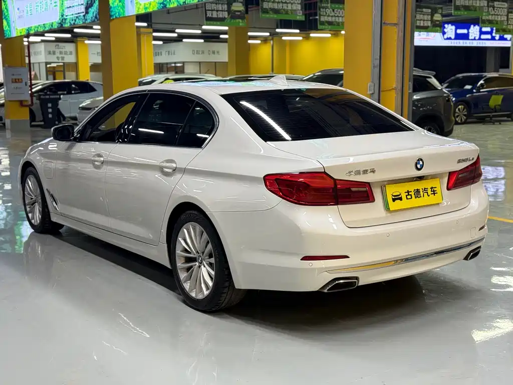 BMW 5 Series New Energy 2020