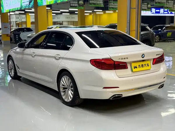BMW 5 Series New Energy 2020